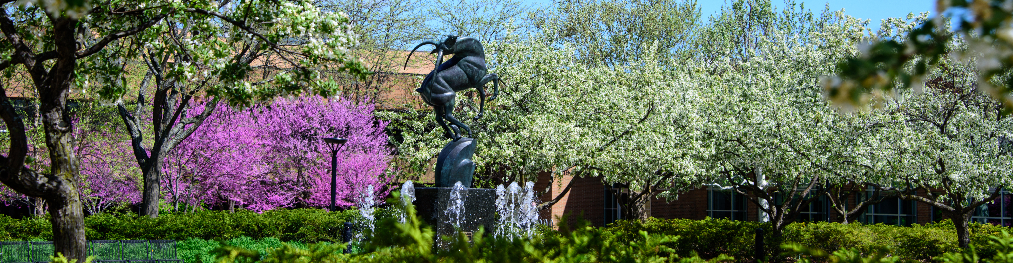 SVSU Fountain in the Spring
