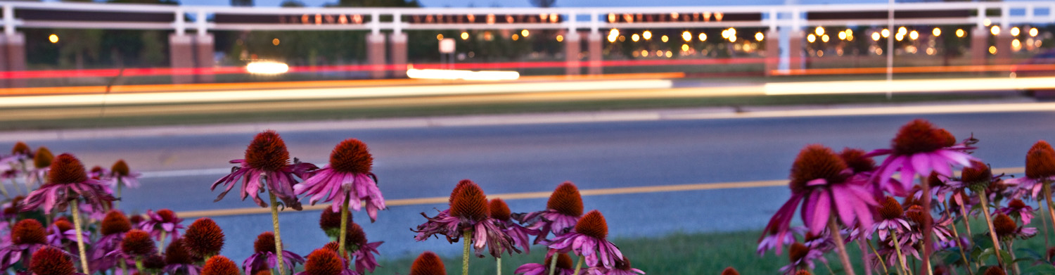 SVSU Campus in the Spring