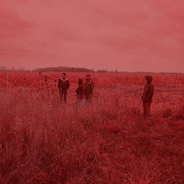 Group of faculty and students doing research in a field