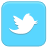 Twitter Icon