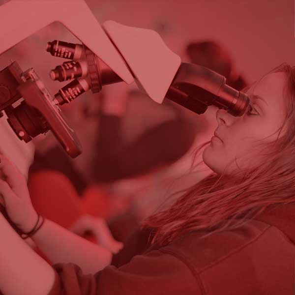 Student working at a microscope