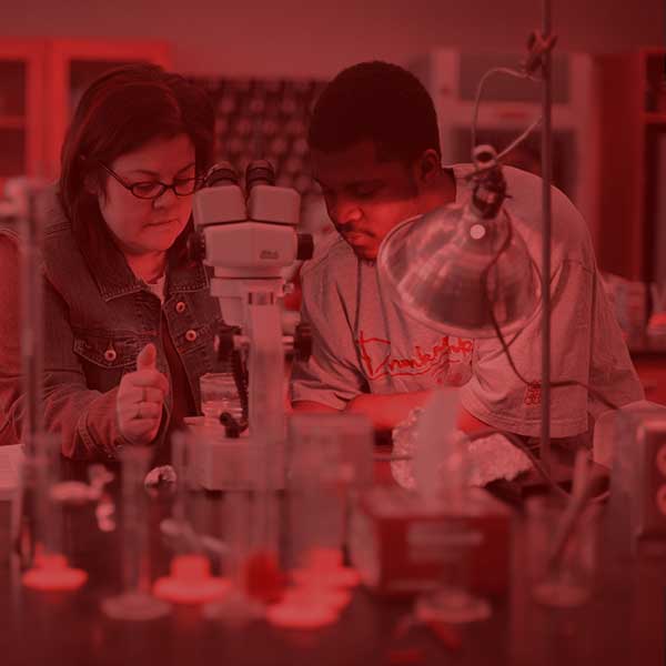 Students working in a biology lab