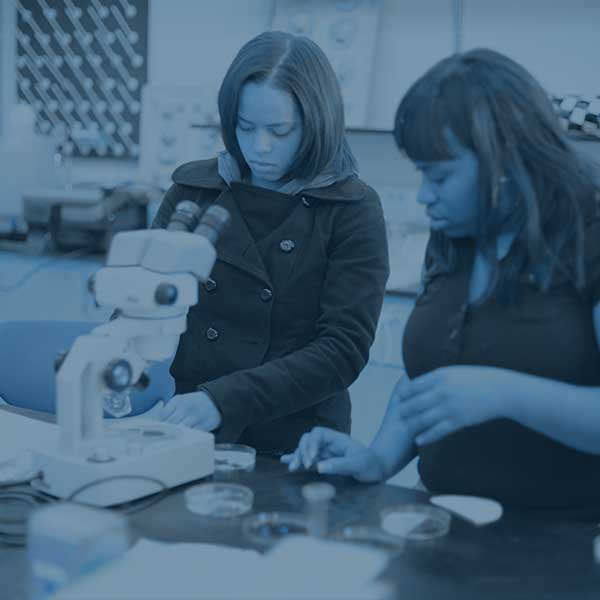 Students working in a Biology lab