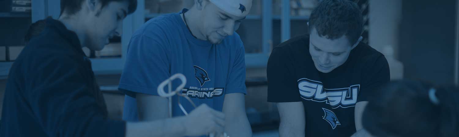 Students working in lab