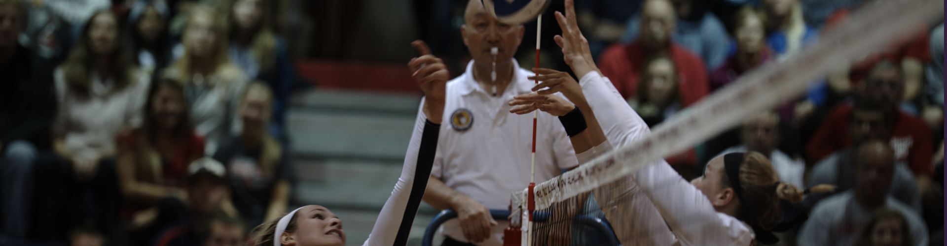 SVSU vs Ferris Volleyball Game 2014