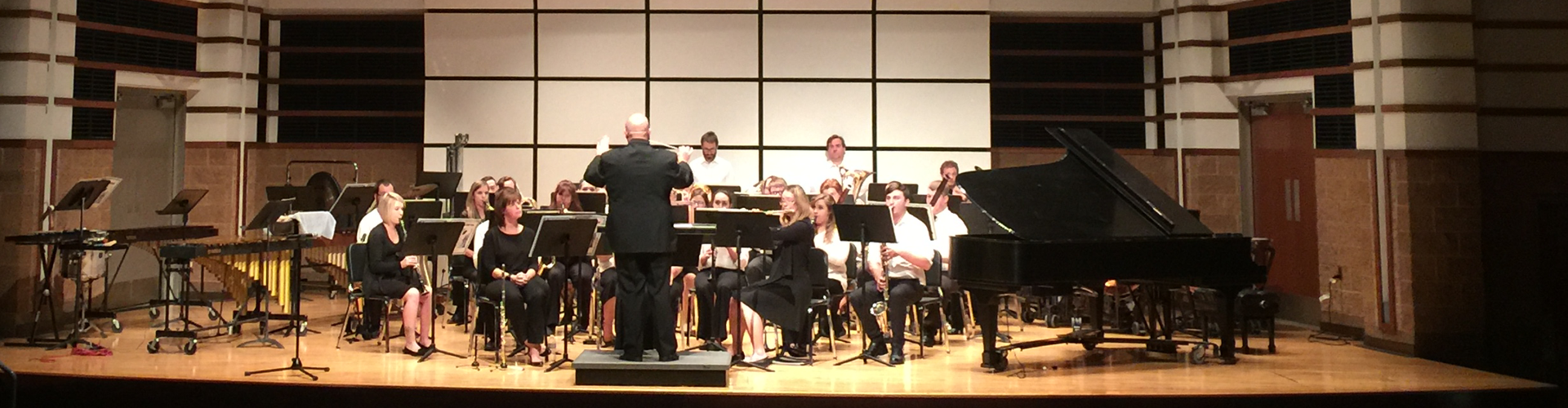 SVSU Wind Ensemble 2016