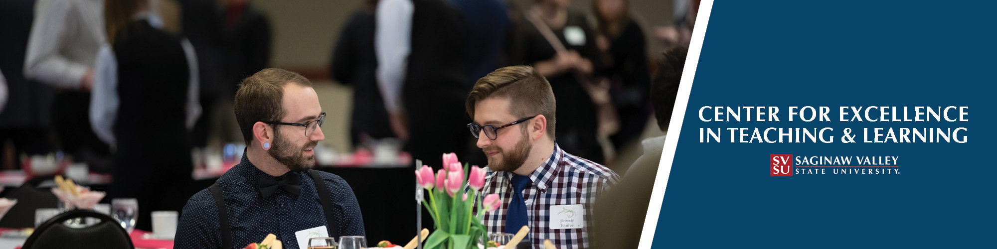 Center for Excellence in Teaching and Learning SVSU