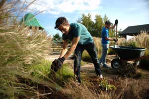 Homecoming Service Project