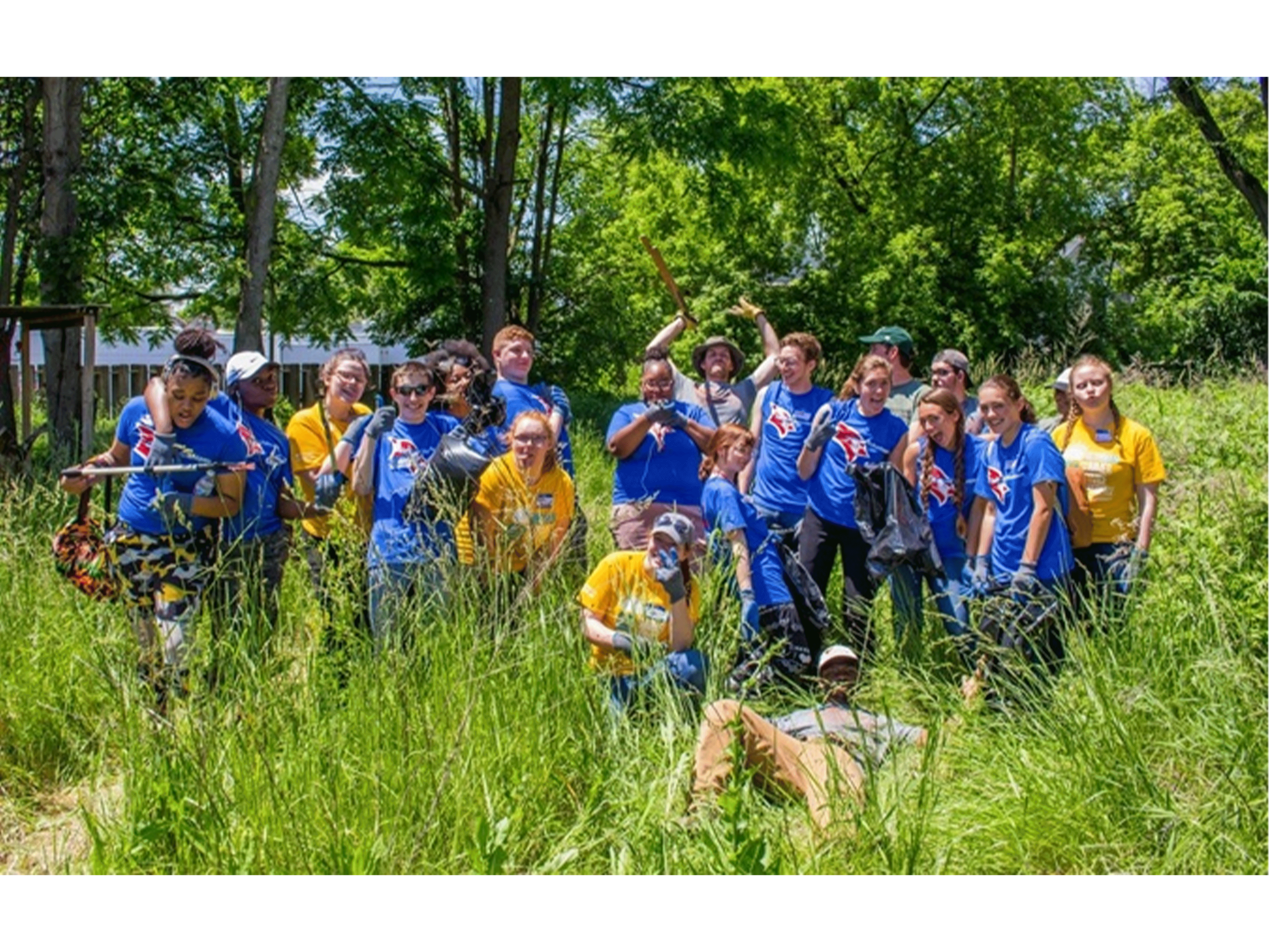 Summer Service Field