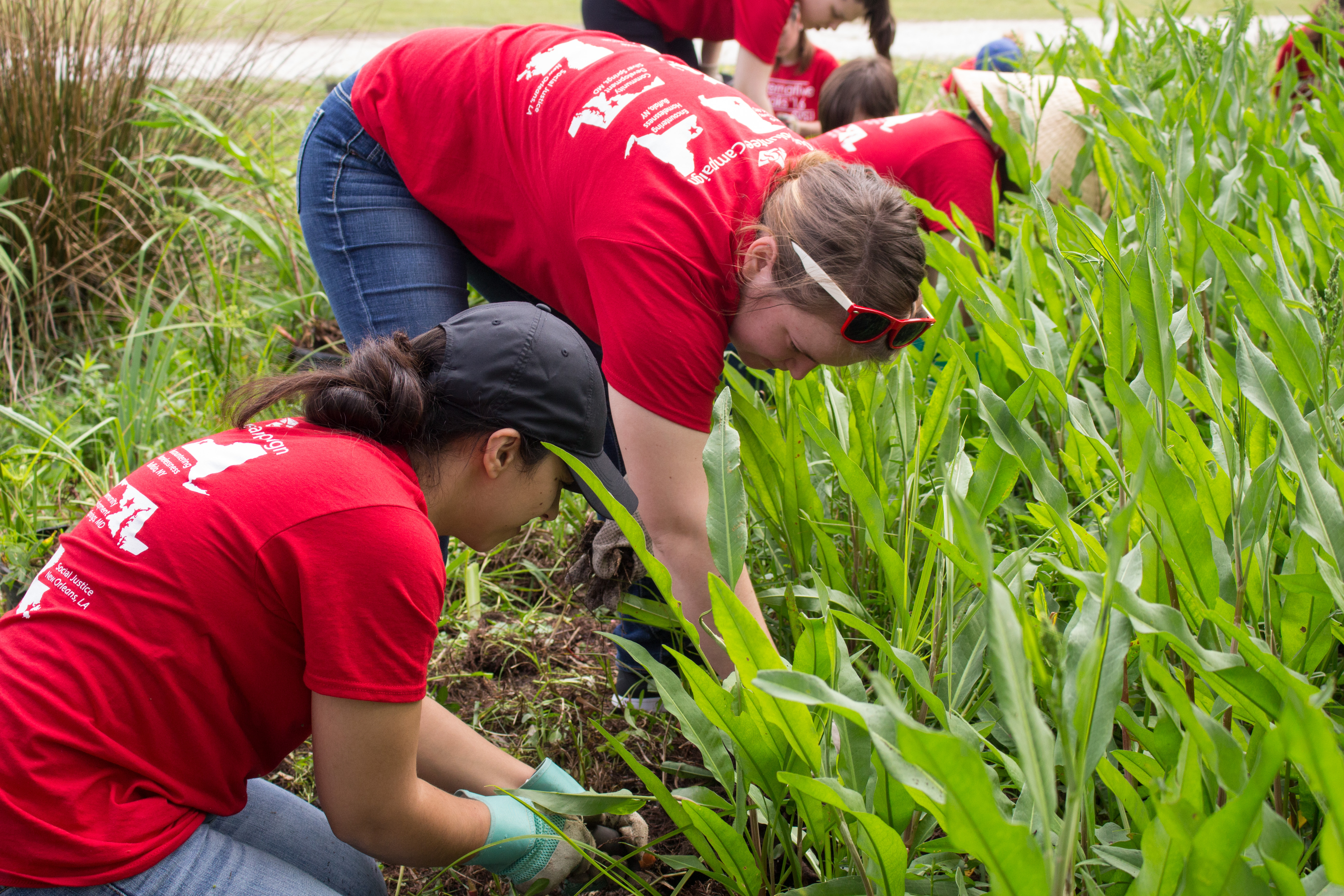 People working together with plants