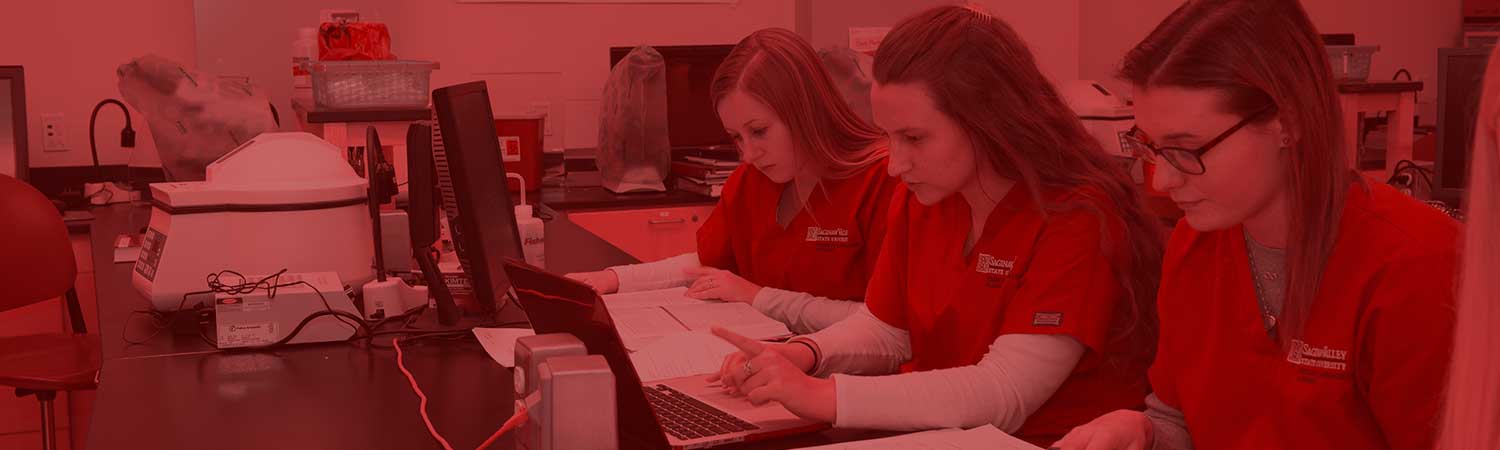 Students working on a lab together