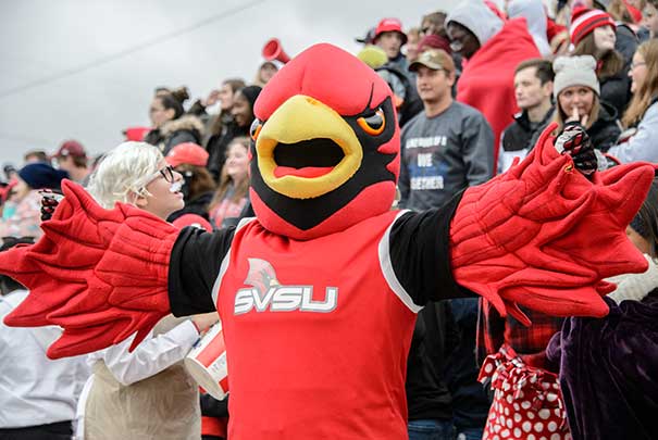 coop at a football game