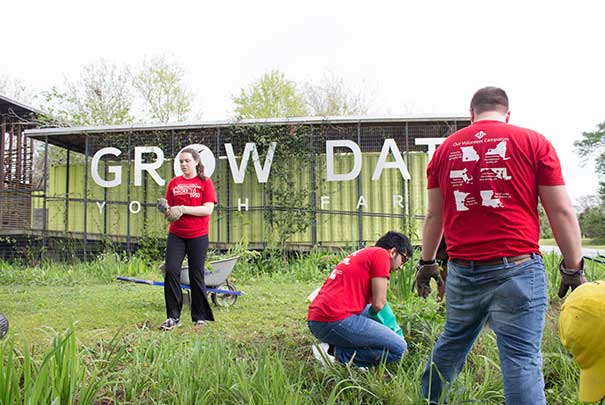 Volunteering, grow project