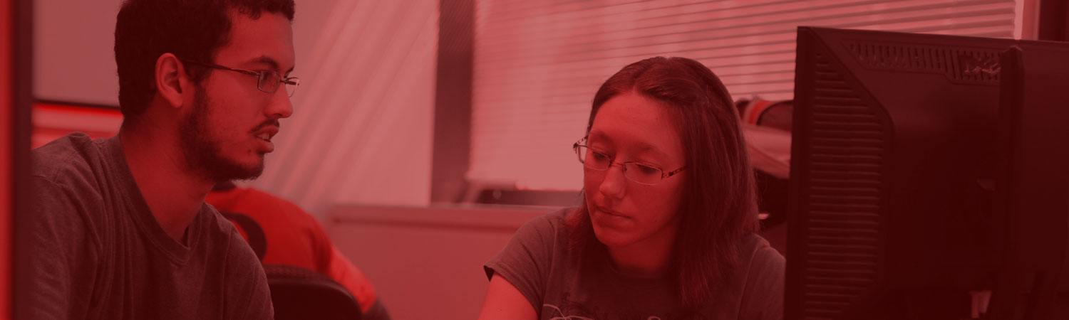 Two students working together