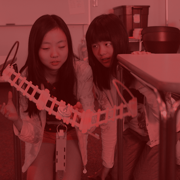 Students working on a math research project