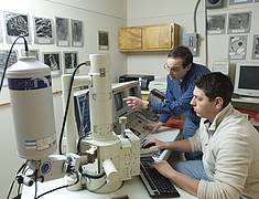 RTEmagicC_Tuttle_8718