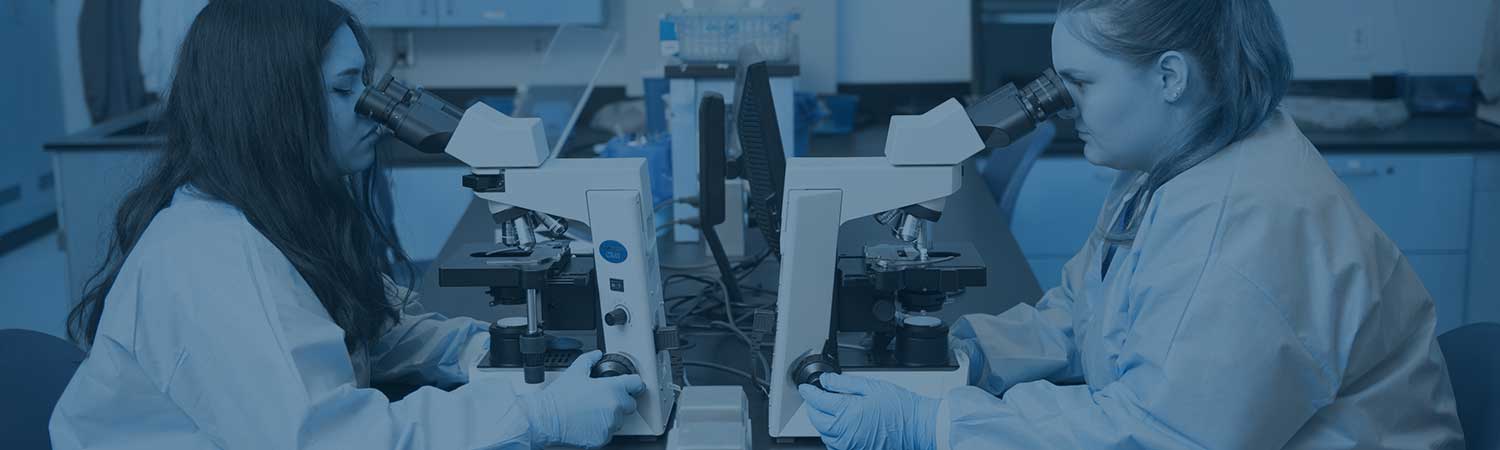 Students looking at samples under microscopes