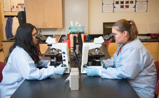 Medical laboratory science lab