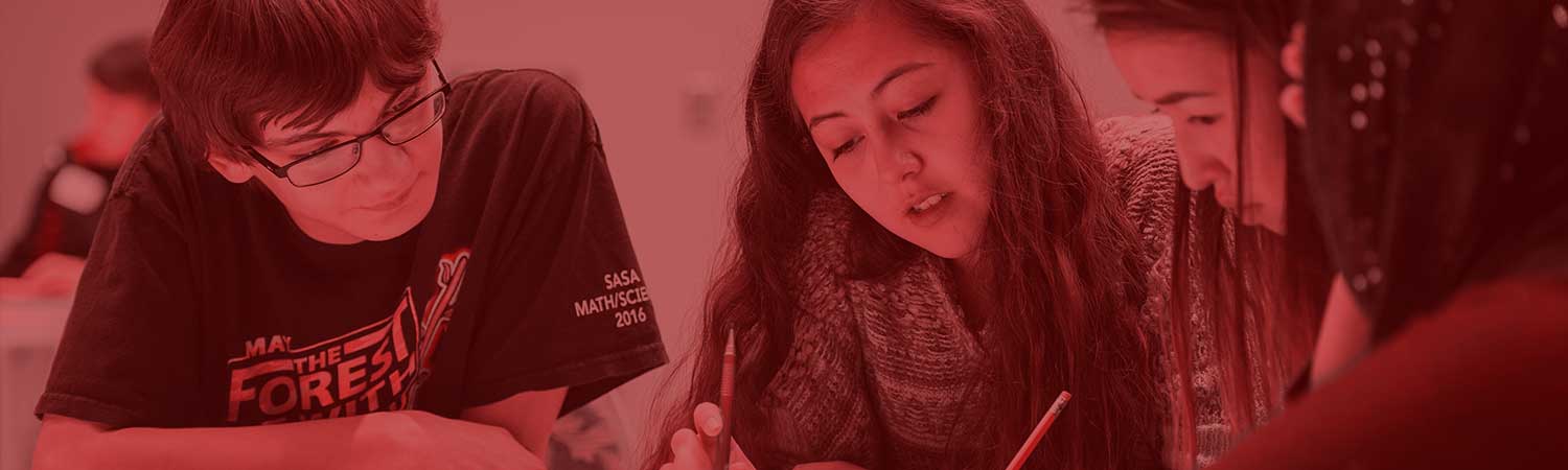 Students working on language exercises