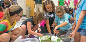 College Update Fall 2014-College of Education