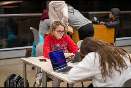 two students studying