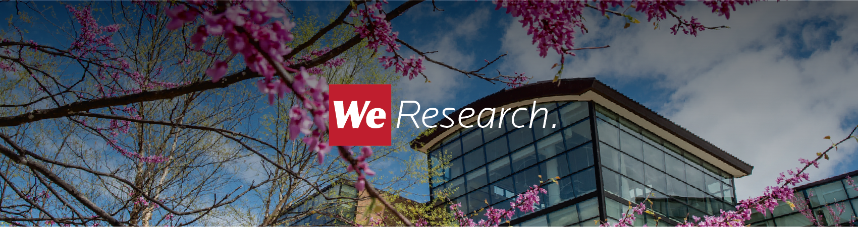 SVSu Administration Building in Spring Banner for Institutional research