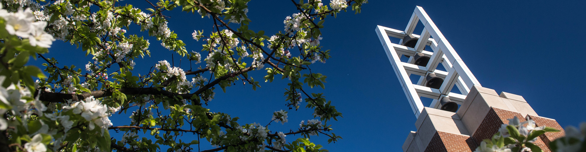 Bell Tower with flowering trees