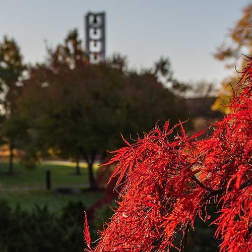 Campus courtyard in fall