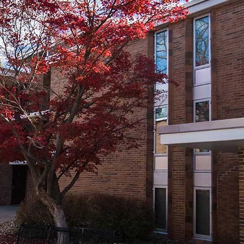 First Year Suites courtyard