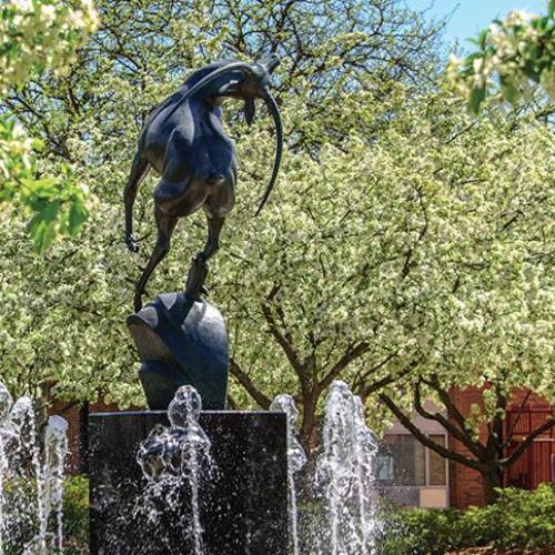 Trees and fountain in courtyard