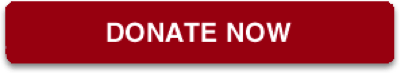 Donate Now button