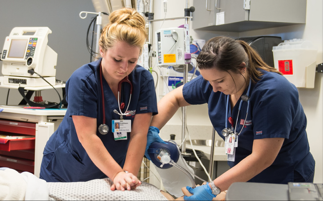 Two nursing students working together