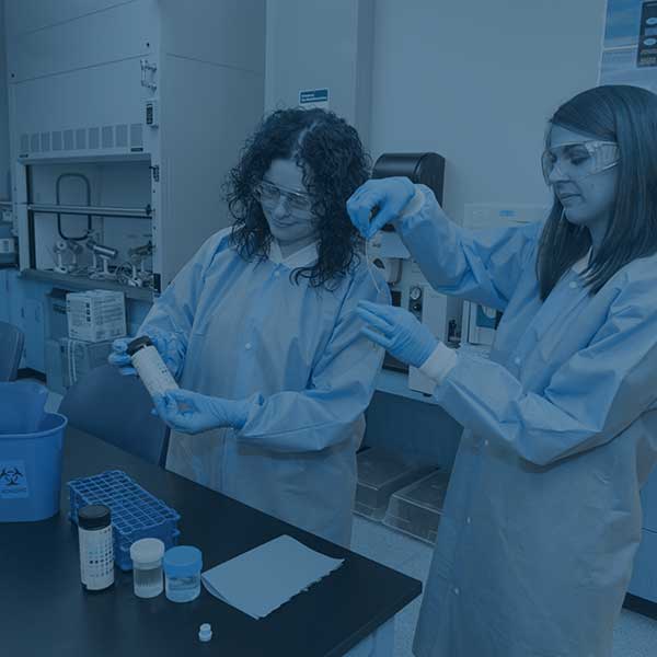 Students working in a lab