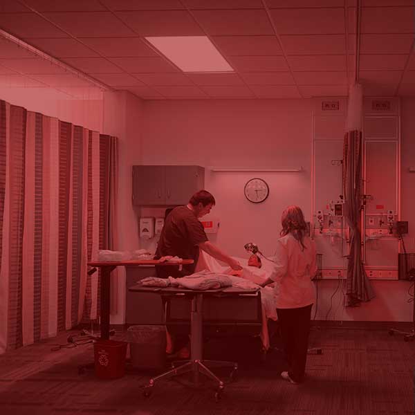 Students working through a simulation