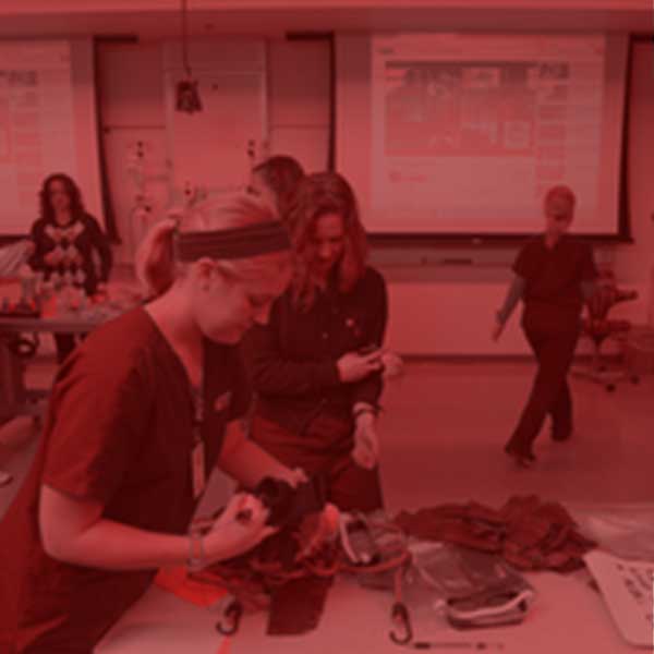 Students working through a simulation