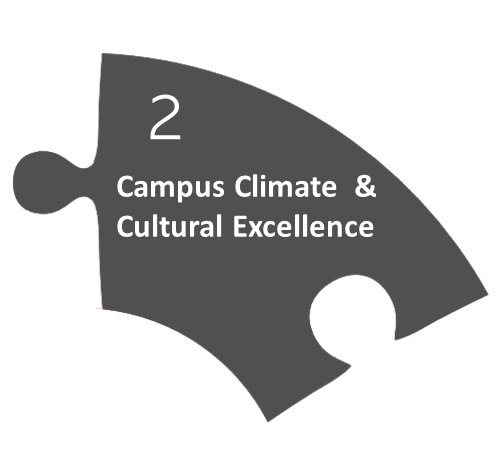 2. Campus Climate & Cultural Excellence graphic