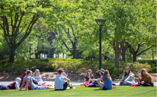 Undergrad Programs Featured