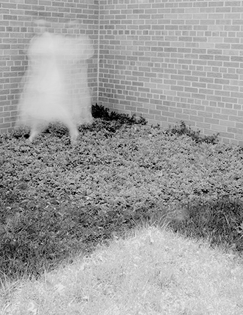 Katherine Huber Mysteries