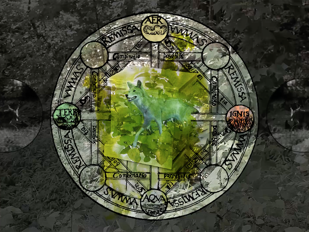 Spell to Draw Bee Banner