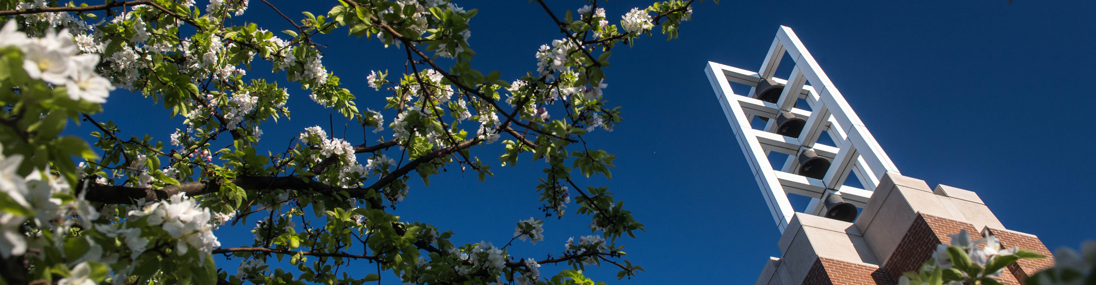 Campus Spring Scenic